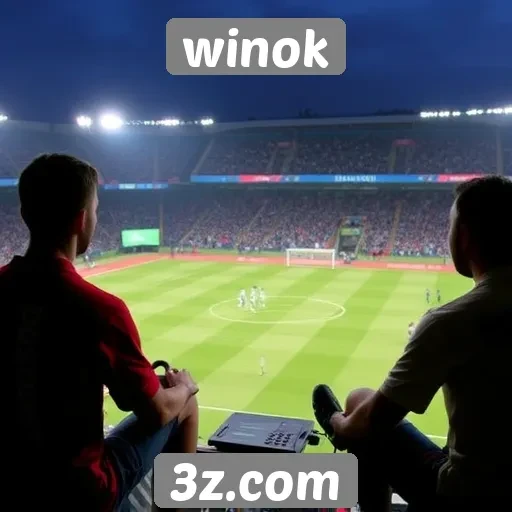 Experiência de usuário no Winok é avaliada por especialistas